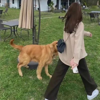 爱上新玩意
